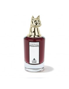 The Bewitching Yasmine