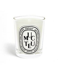 Muguet Vela Perfumada