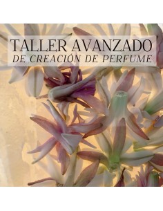 Taller Avanzado de Creación...