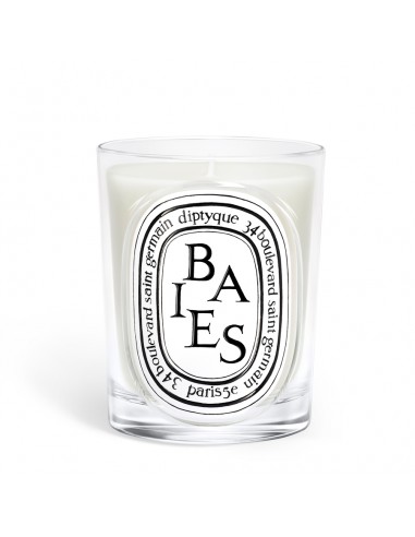 Baies Scented Candle